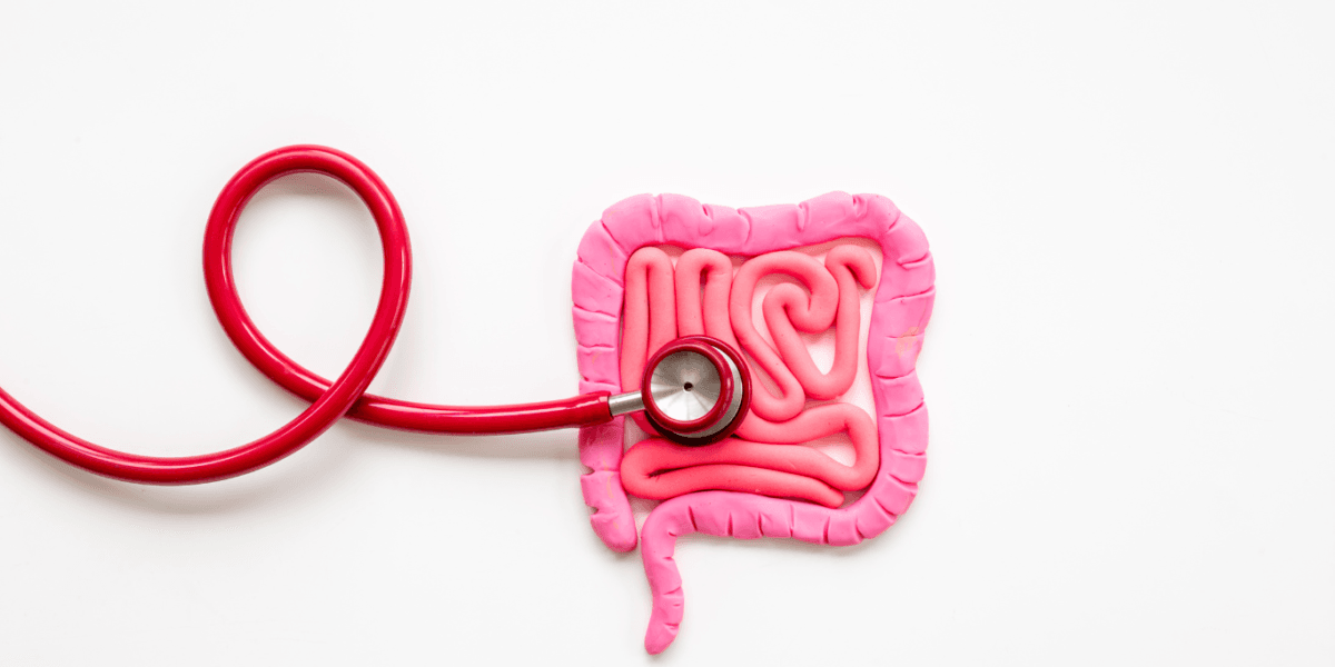 Ramifications of Leaky Gut  Coordinated Medicine Foundation