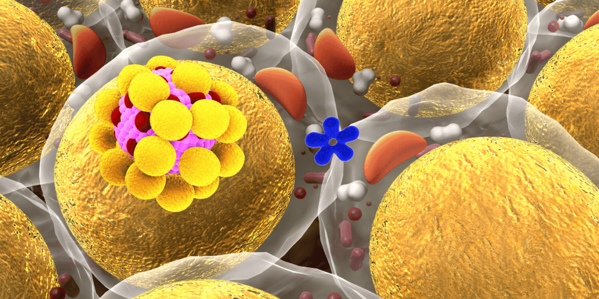 Elucidating Fats  Coordinated Medicine Foundation